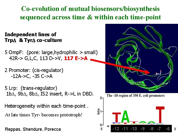Co-evolution of mutual biosensors/biosynthesis sequenced across time & within each time-point Independent lines of