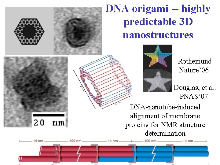 DNA origami -- highly predictable 3 D nanostructures Rothemund Nature’ 06 Douglas, et al.