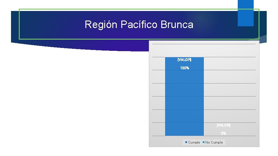 Región Pacífico Brunca [VALOR] 100% [VALOR] 0% Cumple No Cumple 