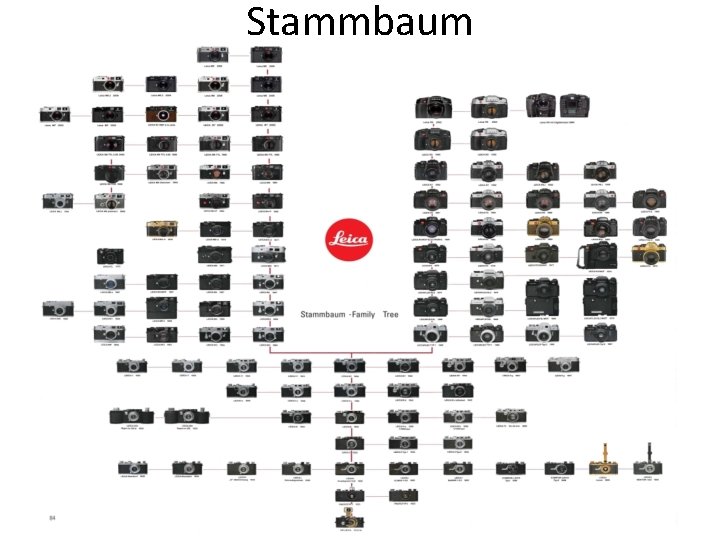 Stammbaum 