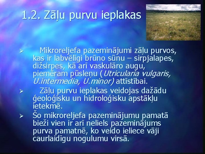 1. 2. Zāļu purvu ieplakas Ø Ø Ø Mikroreljefa pazeminājumi zāļu purvos, kas ir