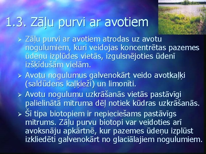 1. 3. Zāļu purvi ar avotiem Ø Ø Zāļu purvi ar avotiem atrodas uz