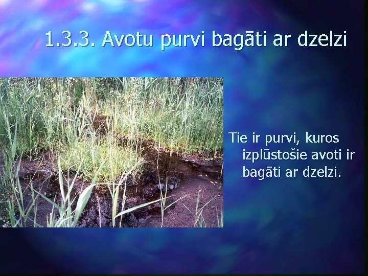 1. 3. 3. Avotu purvi bagāti ar dzelzi Tie ir purvi, kuros izplūstošie avoti