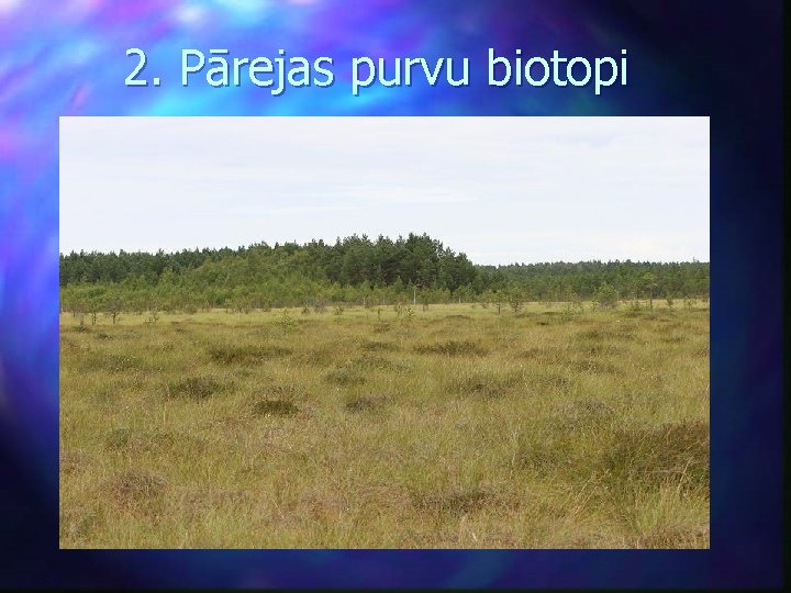 2. Pārejas purvu biotopi 