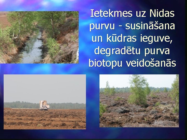 Ietekmes uz Nidas purvu - susināšana un kūdras ieguve, degradētu purva biotopu veidošanās 