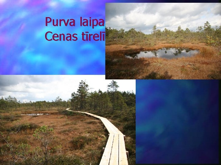 Purva laipa Cenas tīrelī 