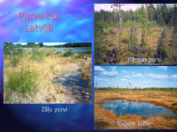 Purva tipi Latvijā Pārejas purvi Zāļu purvi Augstie purvi 