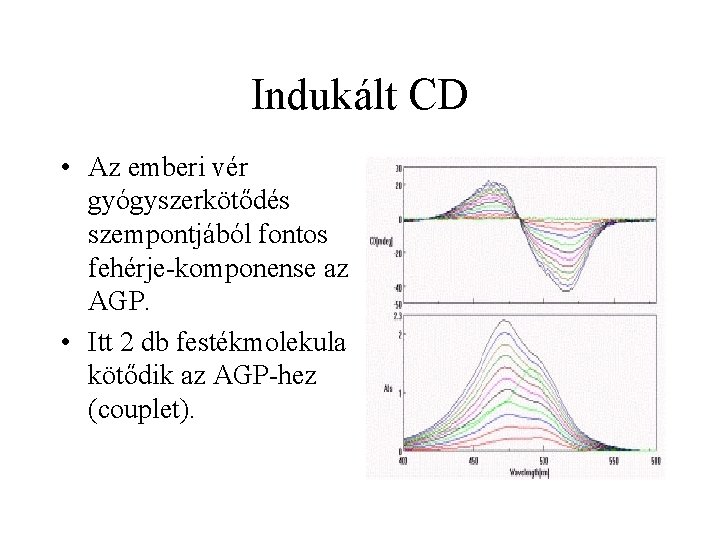 Indukált CD • Az emberi vér gyógyszerkötődés szempontjából fontos fehérje-komponense az AGP. • Itt