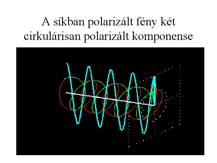 A síkban polarizált fény két cirkulárisan polarizált komponense 