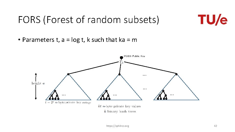 FORS (Forest of random subsets) • Parameters t, a = log t, k such