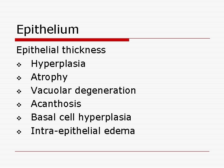 Epithelium Epithelial thickness v Hyperplasia v Atrophy v Vacuolar degeneration v Acanthosis v Basal