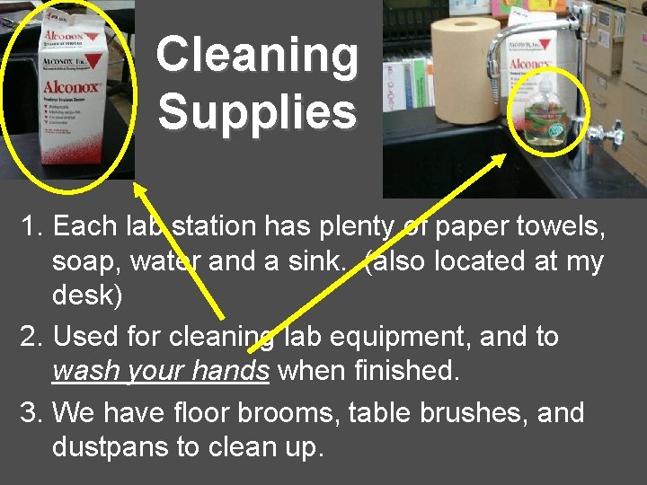 Cleaning Supplies 1. Each lab station has plenty of paper towels, soap, water and