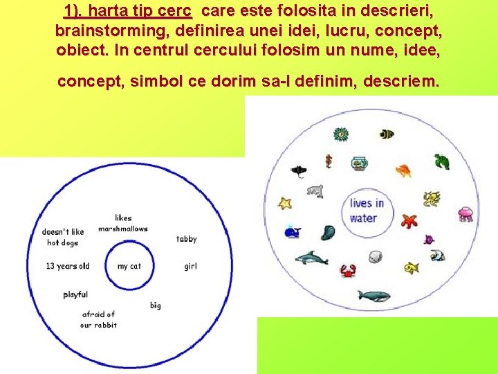 1). harta tip cerc care este folosita in descrieri, brainstorming, definirea unei idei, lucru,