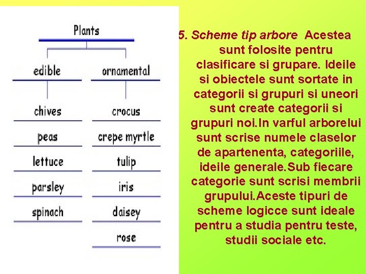 5. Scheme tip arbore Acestea sunt folosite pentru clasificare si grupare. Ideile si obiectele