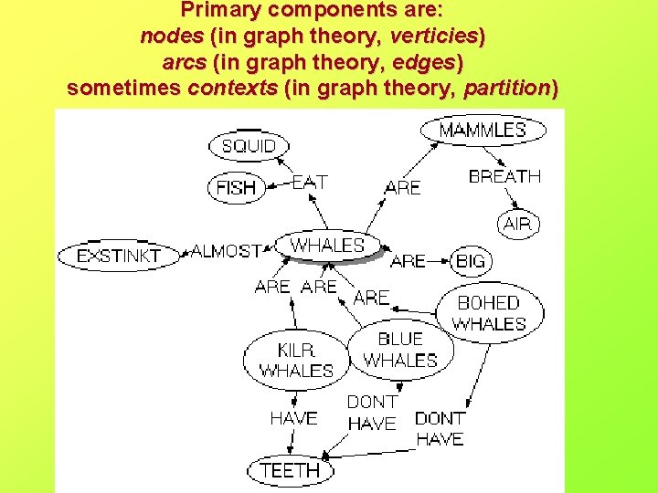 Primary components are: nodes (in graph theory, verticies) arcs (in graph theory, edges) sometimes