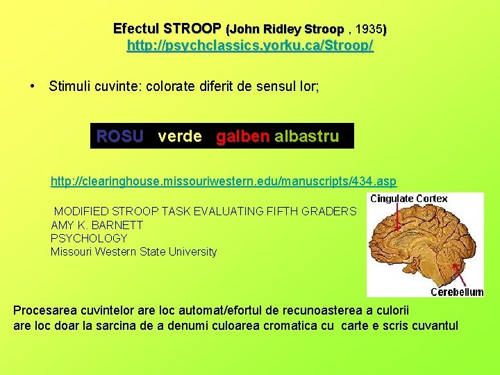 Efectul STROOP (John Ridley Stroop , 1935) http: //psychclassics. yorku. ca/Stroop/ • Stimuli cuvinte: