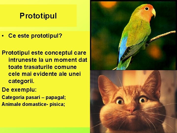 Prototipul • Ce este prototipul? Prototipul este conceptul care intruneste la un moment dat