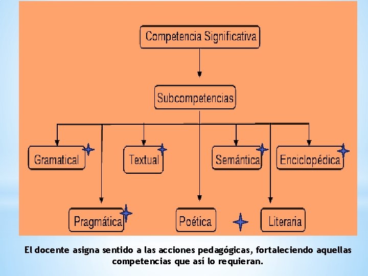 El docente asigna sentido a las acciones pedagógicas, fortaleciendo aquellas competencias que así lo