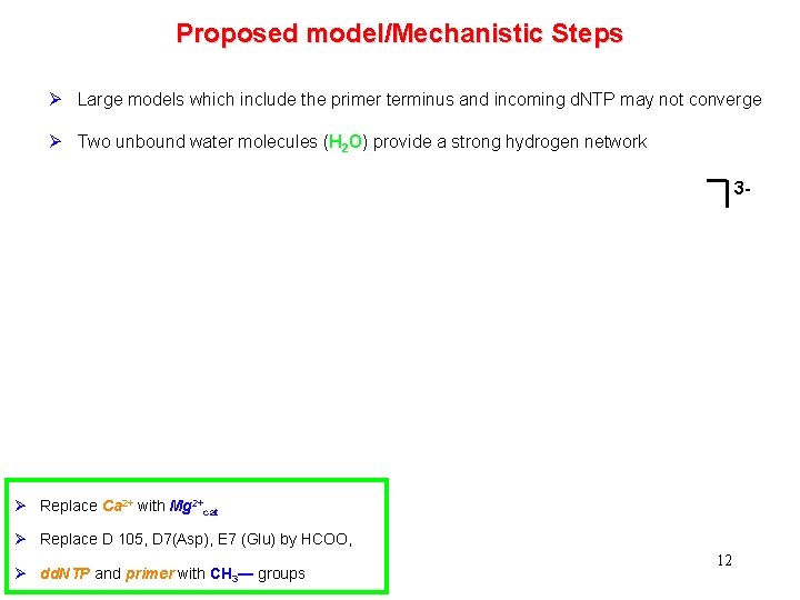 Proposed model/Mechanistic Steps Ø Large models which include the primer terminus and incoming d.