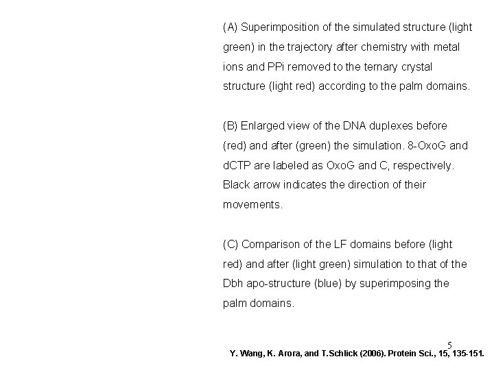 (A) Superimposition of the simulated structure (light green) in the trajectory after chemistry with