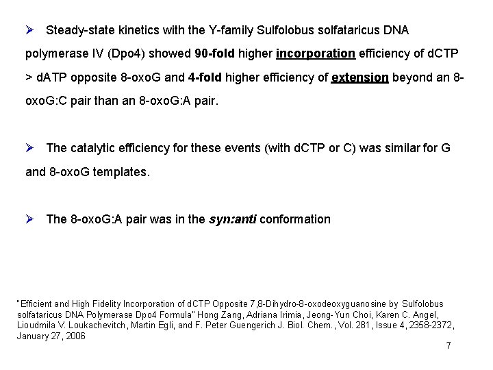 Ø Steady-state kinetics with the Y-family Sulfolobus solfataricus DNA polymerase IV (Dpo 4) showed