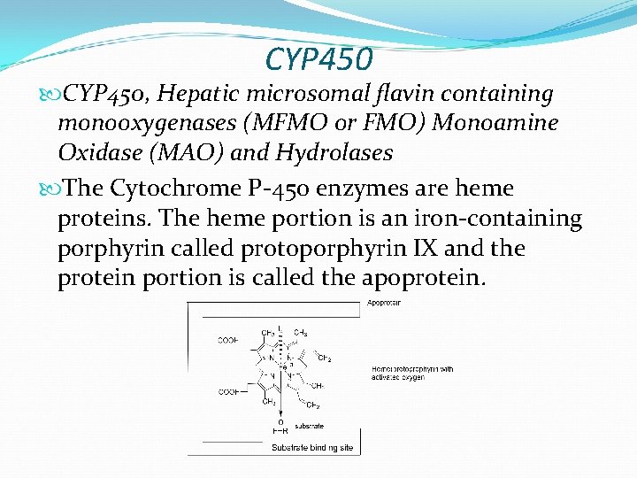 CYP 450 CYP 450, Hepatic microsomal flavin containing monooxygenases (MFMO or FMO) Monoamine Oxidase