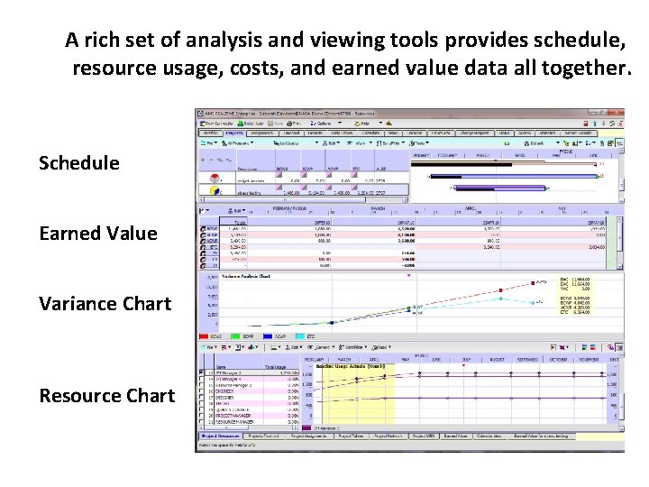 A rich set of analysis and viewing tools provides schedule, resource usage, costs, and