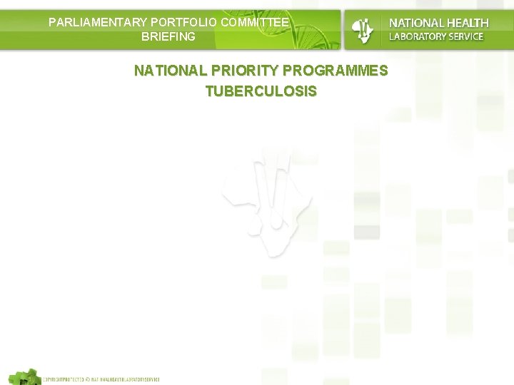 PARLIAMENTARY PORTFOLIO COMMITTEE BRIEFING NATIONAL PRIORITY PROGRAMMES TUBERCULOSIS 