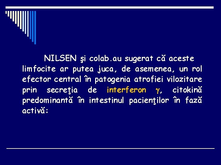 NILSEN şi colab. au sugerat că aceste limfocite ar putea juca, de asemenea, un