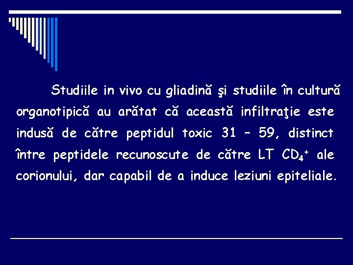 Studiile in vivo cu gliadină şi studiile în cultură organotipică au arătat că această