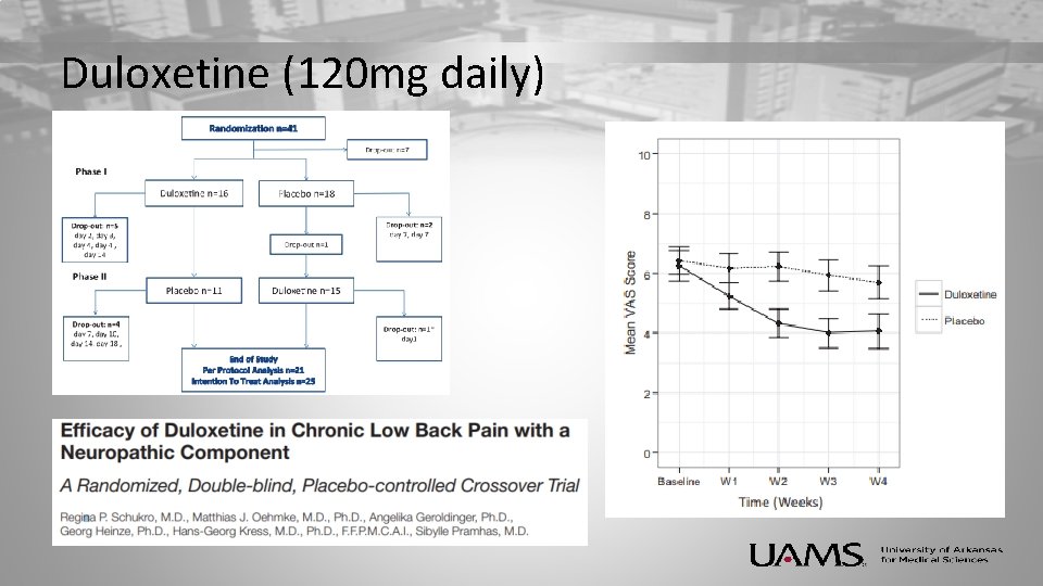 Duloxetine (120 mg daily) 