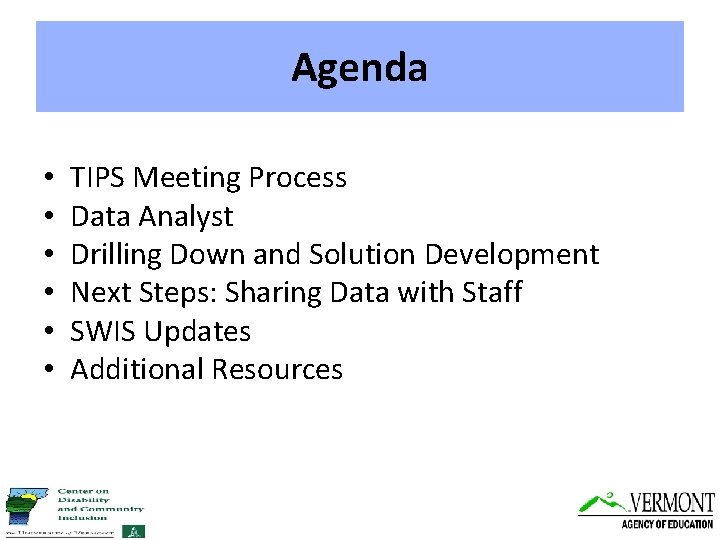 Agenda • • • TIPS Meeting Process Data Analyst Drilling Down and Solution Development