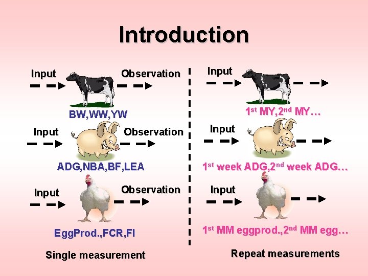 Introduction Input Observation Input 1 st MY, 2 nd MY… BW, WW, YW Input