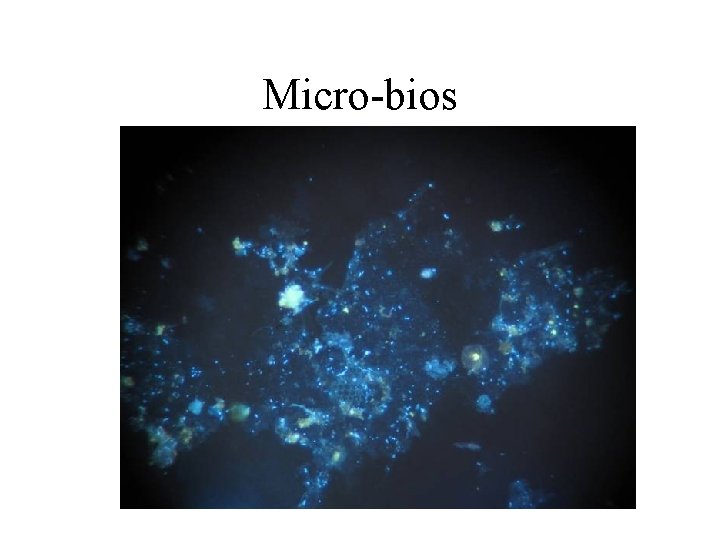 Micro-bios 