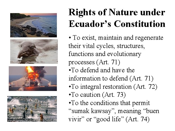 Rights of Nature under Ecuador’s Constitution • To exist, maintain and regenerate their vital