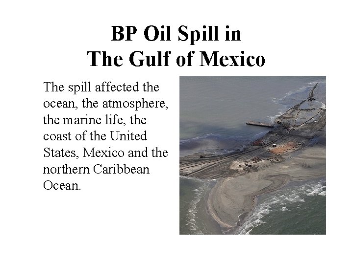 BP Oil Spill in The Gulf of Mexico The spill affected the ocean, the