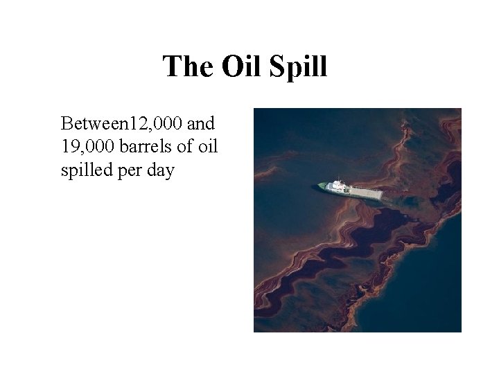 The Oil Spill Between 12, 000 and 19, 000 barrels of oil spilled per