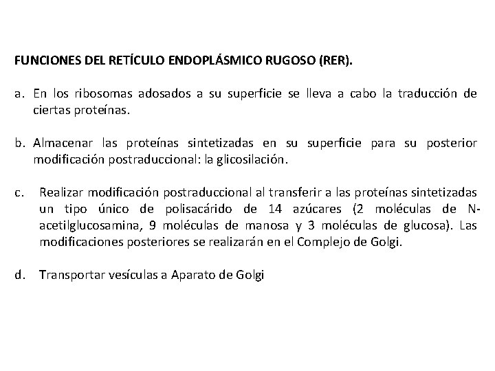 FUNCIONES DEL RETÍCULO ENDOPLÁSMICO RUGOSO (RER). a. En los ribosomas ados a su superficie