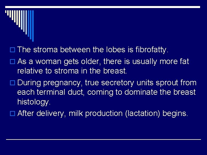 o The stroma between the lobes is fibrofatty. o As a woman gets older,
