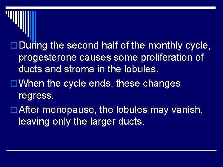 o During the second half of the monthly cycle, progesterone causes some proliferation of