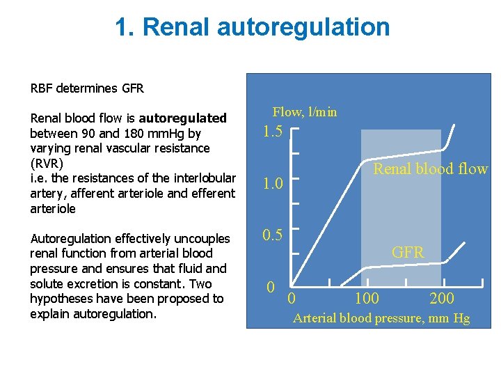 1. Renal autoregulation RBF determines GFR Renal blood flow is autoregulated between 90 and