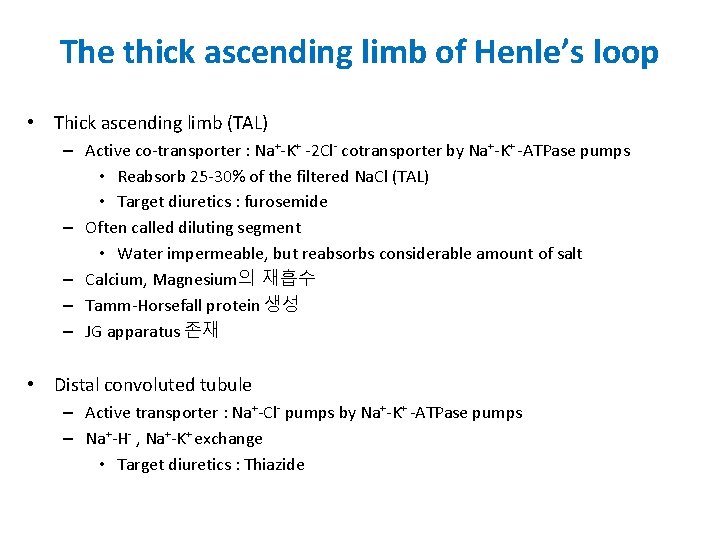 The thick ascending limb of Henle’s loop • Thick ascending limb (TAL) – Active