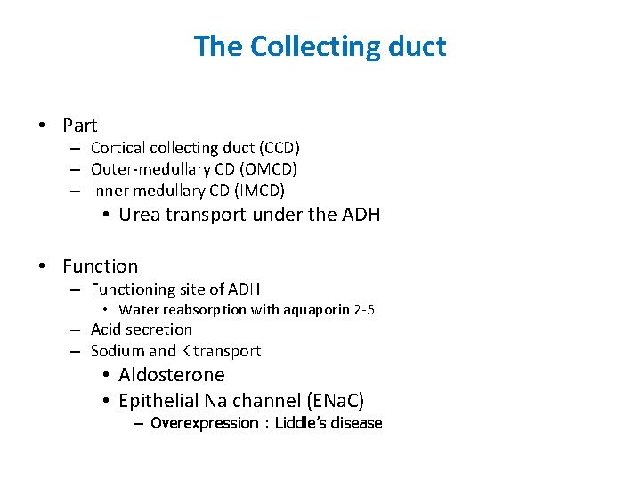The Collecting duct • Part – Cortical collecting duct (CCD) – Outer-medullary CD (OMCD)
