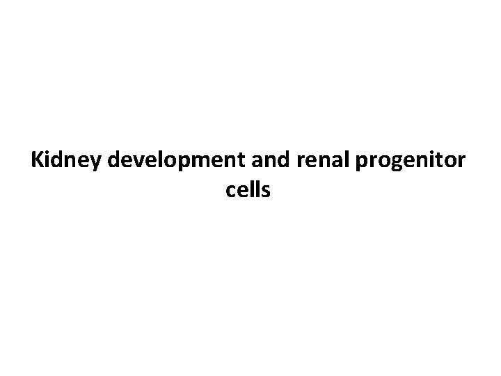 Kidney development and renal progenitor cells 