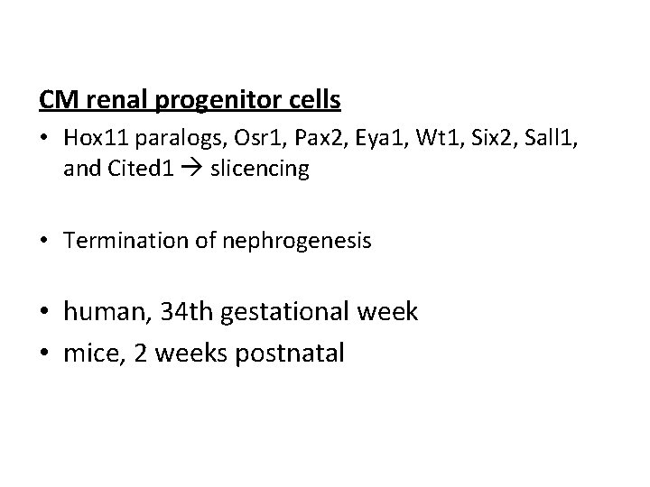 CM renal progenitor cells • Hox 11 paralogs, Osr 1, Pax 2, Eya 1,