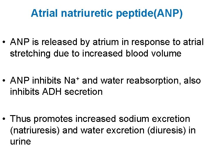 Atrial natriuretic peptide(ANP) • ANP is released by atrium in response to atrial stretching