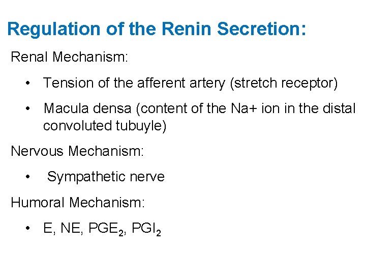 Regulation of the Renin Secretion: Renal Mechanism: • Tension of the afferent artery (stretch