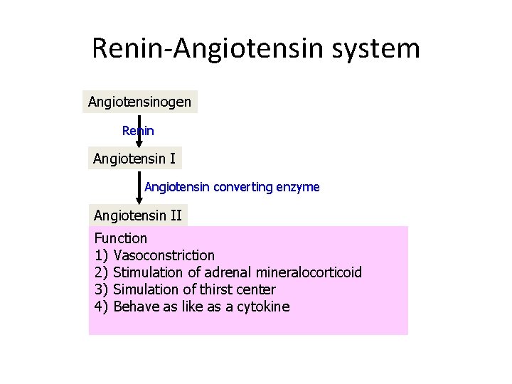 Renin-Angiotensin system Angiotensinogen Renin Angiotensin I Angiotensin converting enzyme Angiotensin II Function 1) Vasoconstriction
