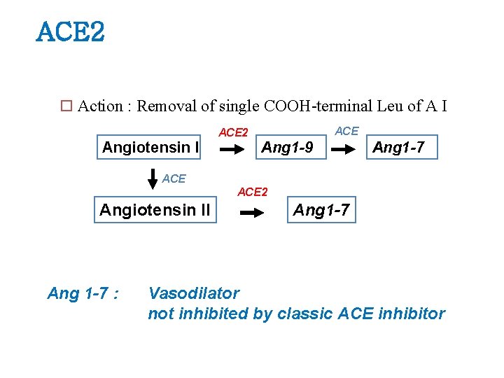 ACE 2 ¨ Action : Removal of single COOH-terminal Leu of A I ACE