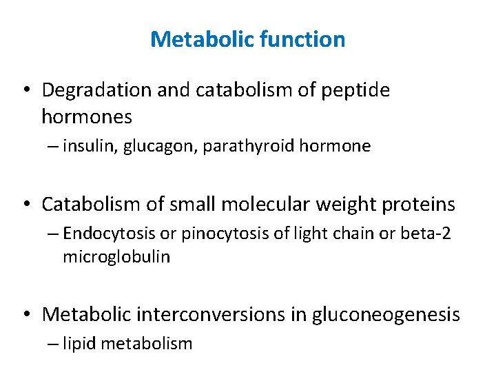 Metabolic function • Degradation and catabolism of peptide hormones – insulin, glucagon, parathyroid hormone